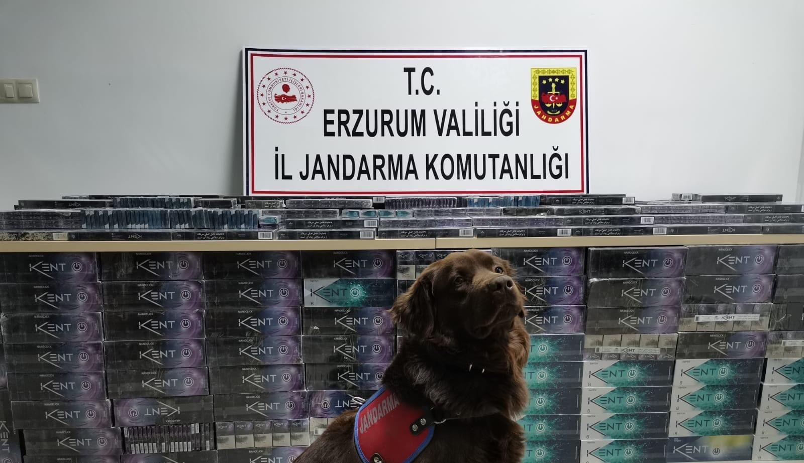 Erzurum’da 5 bin 200 paket kaçak sigara ele geçirildi