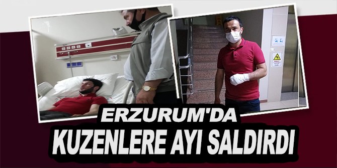 Erzurum'da Hayvanlarını otlatan kuzenlere ayı saldırdı