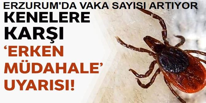 Kenelere karşı 'erken müdahale' uyarısı