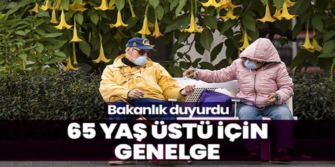 65 yaş ve üstüne seyahat izni