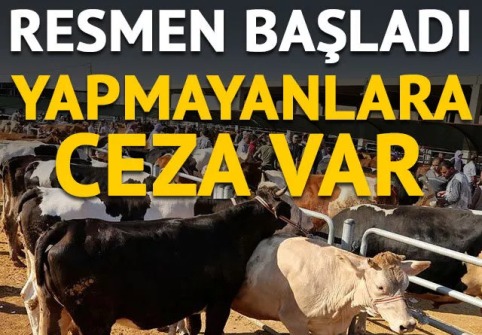 Kurban kesimiyle ilgili tebliğ Resmi Gazete'de yayımlandı