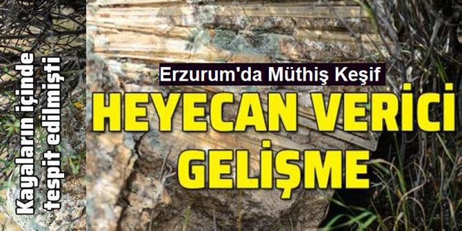 'Türkiye'nin çatısı' geçmişte deniz kenarı çıktı