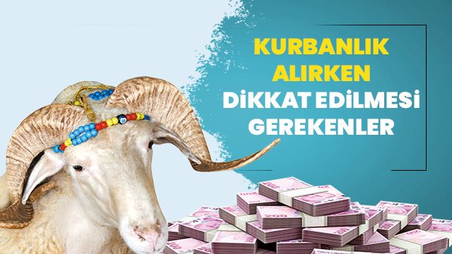 Kurbanlık alırken dikkat edilmesi gerekenler