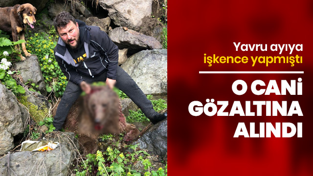 Yavru ayıya işkence yapan cani gözaltına alındı