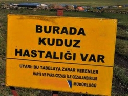 Bir köy karantinaya alındı!