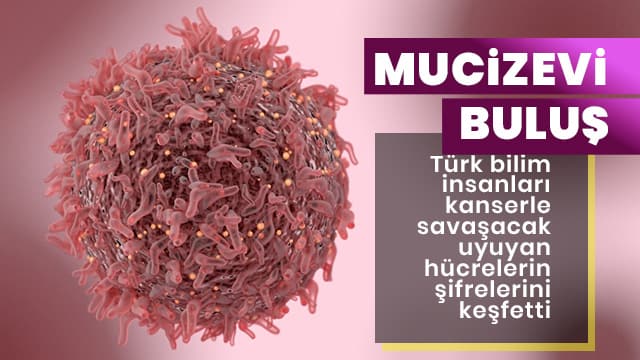 Kanserle savaşacak 'uyuyan hücrelerin' şifrelerini keşfetti