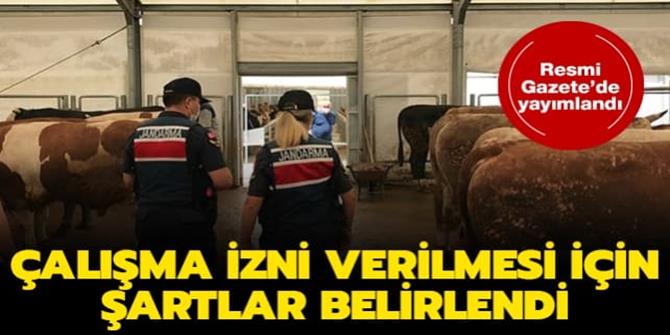 Hayvan toplama ve satış merkezlerinin kurulması için gerekli şartlar belirlendi