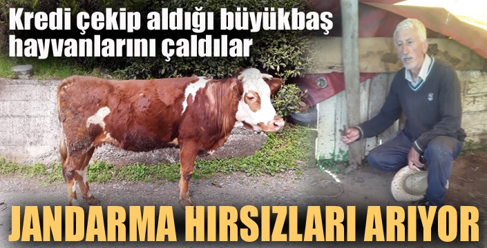 Erzurum'da Jandarma hayvan hırsızlarını arıyor