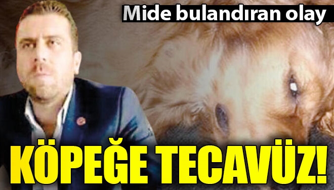 Volkan Uzun tutuklandı! Köpeğe istismarda bulunduğu iddiası...