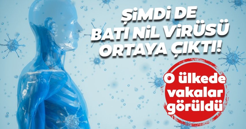 Şimdi de Batı Nil Virüsü ortaya çıktı!