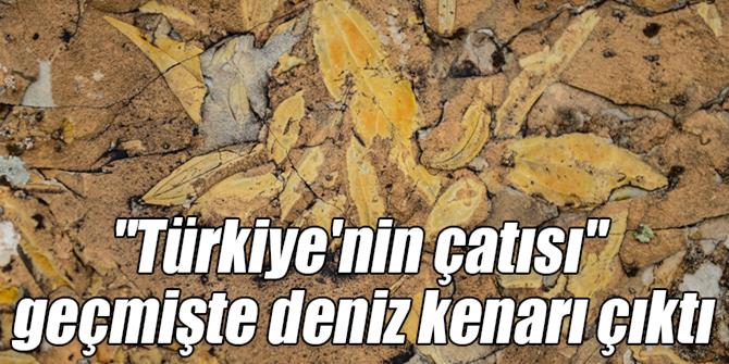 Doğu'daki 'O' İlimiz geçmişte denize komşu çıktı