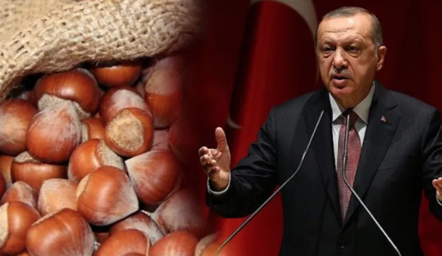 Cumhurbaşkanı Recep Tayyip Erdoğan fındık alım fiyatlarını açıkladı