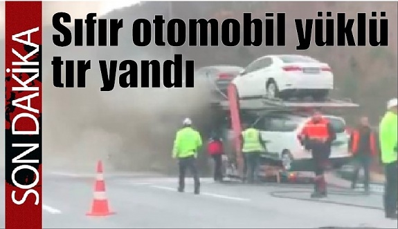 Otomobil taşıyan tır yandı