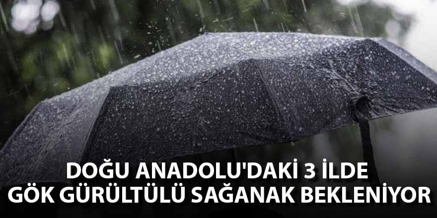 Doğu Anadolu'daki 6 ilde gök gürültülü sağanak bekleniyor