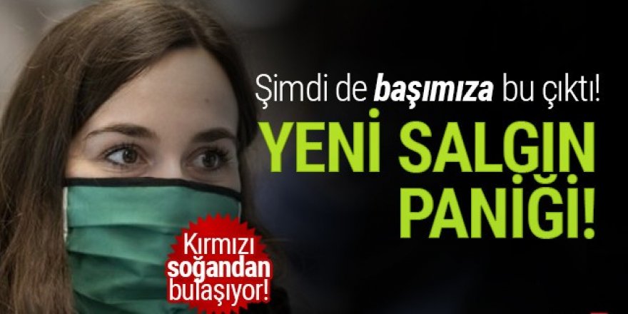 Kanada'da Salmonella paniği! Kırmızı soğandan bulaşıyor!