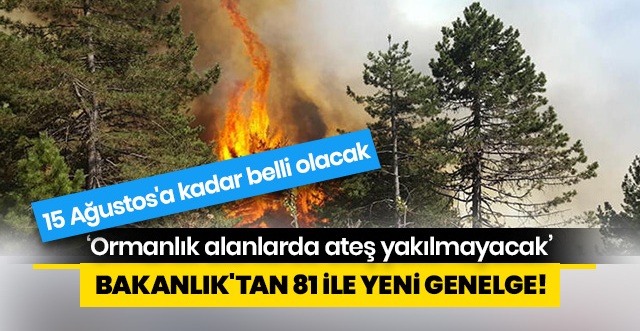 İçişleri Bakanlığı, 81 il valiliğine 'Ormanlık alanlarda ateş yakılmaması' konulu genelge gönderdi