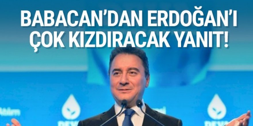 Babacan’dan Erdoğan’a IMF yanıtı