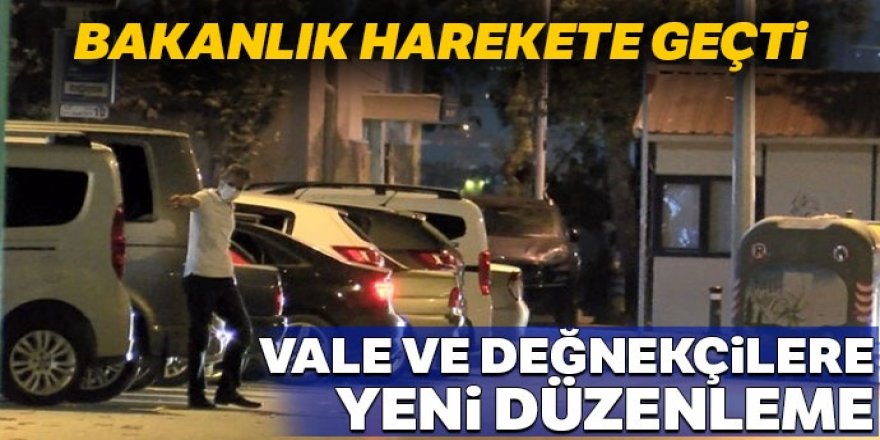 Vale ve değnekçiler için yeni düzenleme geliyor