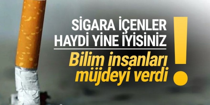 Ünlü bilim insanı sigara içenlere müjdeyi(!) verdi!