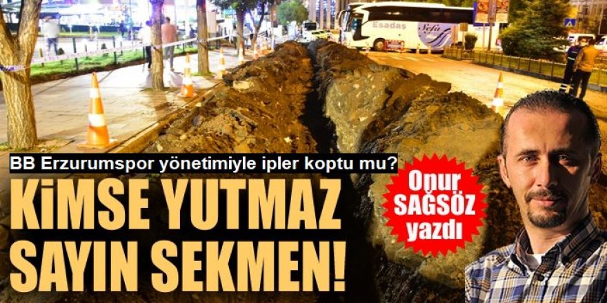 Kimse yutmaz sayın Sekmen!