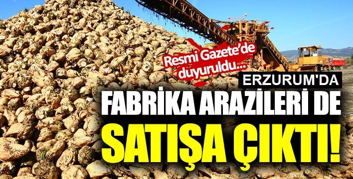 Türkşeker'in Erzurum'daki taşınmazını satıyor