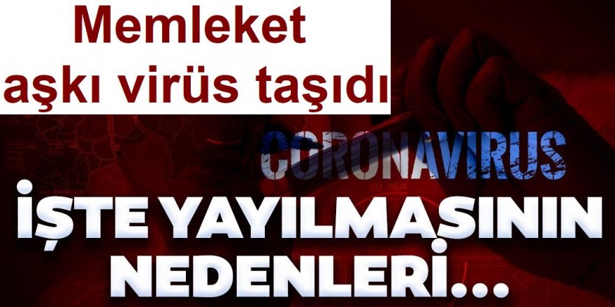 Memleket aşkı virüs taşıdı