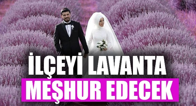 Lavantalar kara kışıyla ünlü Hınıs'ın bahçelerini süsleyecek