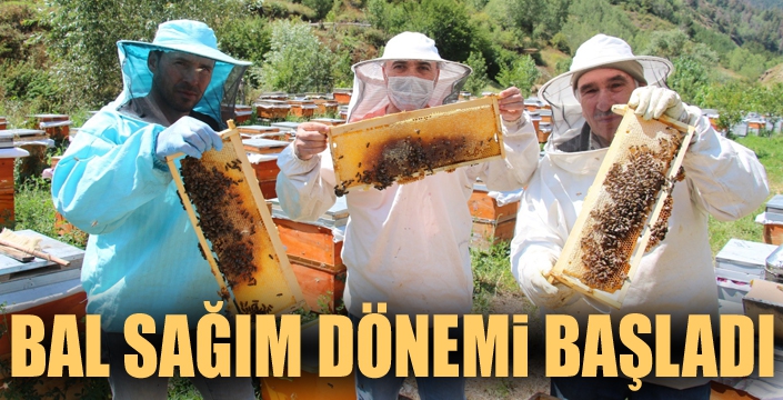 Doğu'da bal sağım dönemi başladı