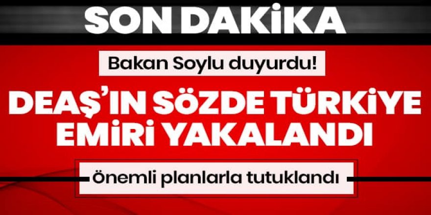 Bakan Soylu: DEAŞ'ın sözde Türkiye Emiri önemli planlarla yakalandı ve tutuklandı
