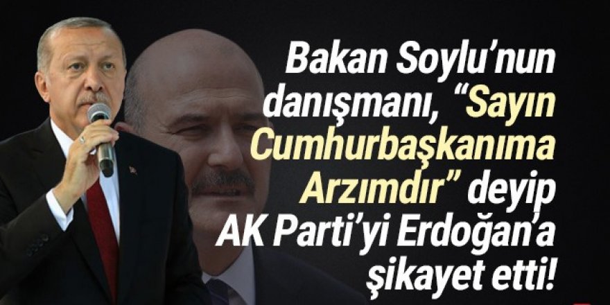 Soylu'nun danışmanı, AK Parti'yi Erdoğan'a şikayet etti