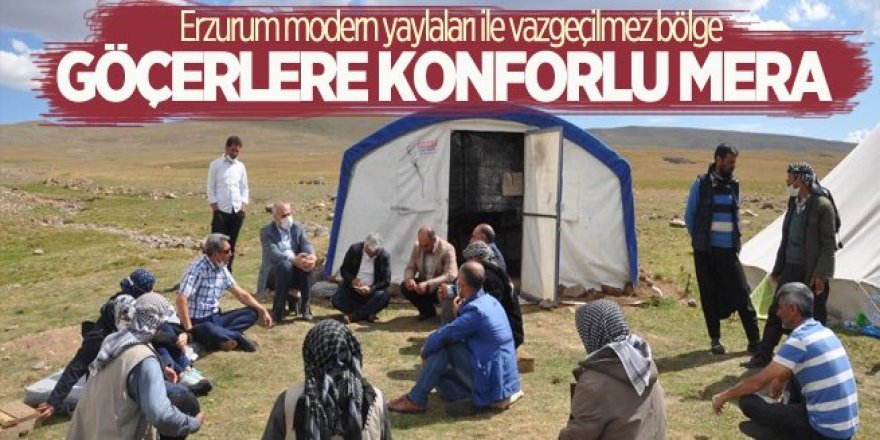 Erzurum'da göçerlere konforlu mera
