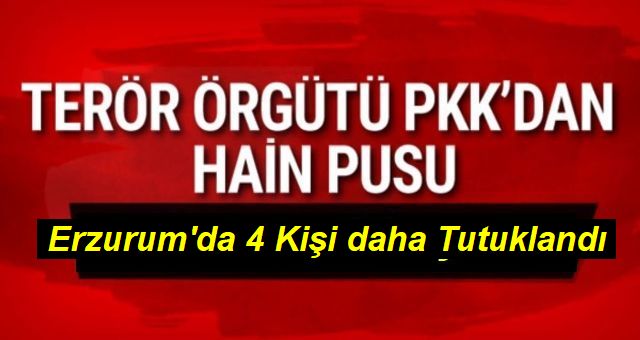 AK Parti'li meclis üyesi Savcı Küçük ve yeğeninin ölümüne ilişkin 4 tutuklama