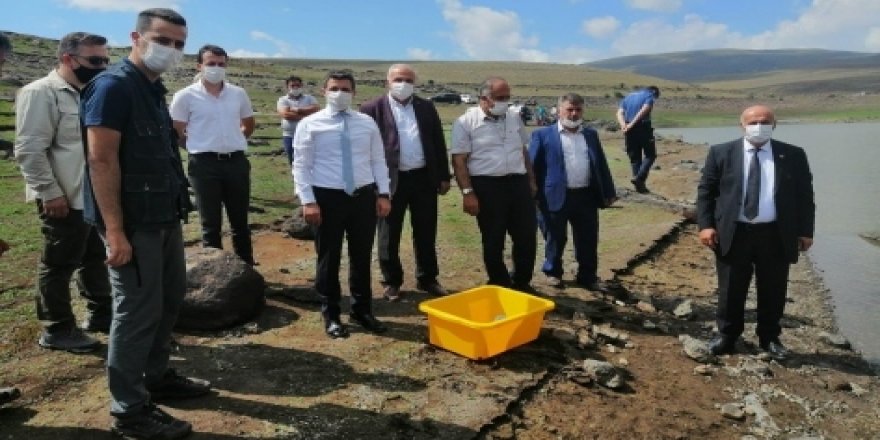 Erzurum'da 15 bin kırmızı benekli alabalık yavrusu gölete bırakıldı