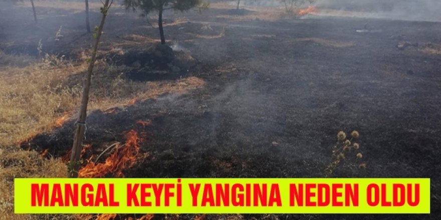 Erzurum'da mangal keyfi yangına neden oldu