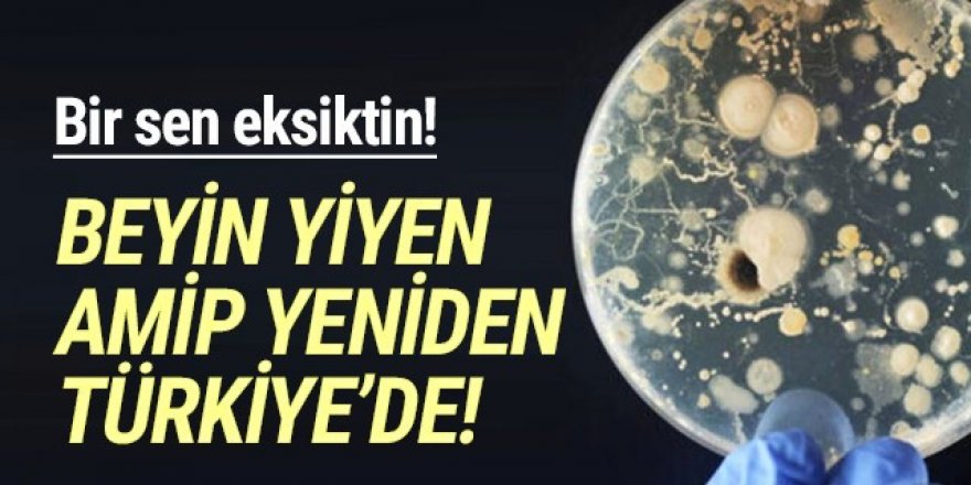 Beyin yiyen amip Türkiye'ye de sıçradı