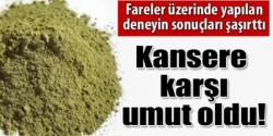 Kanser'e Yeni Umut!