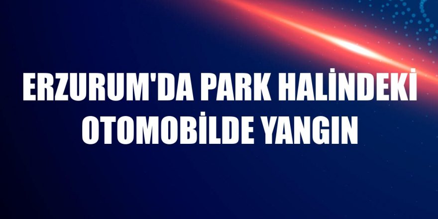 Erzurum'da park halindeki otomobilde yangın