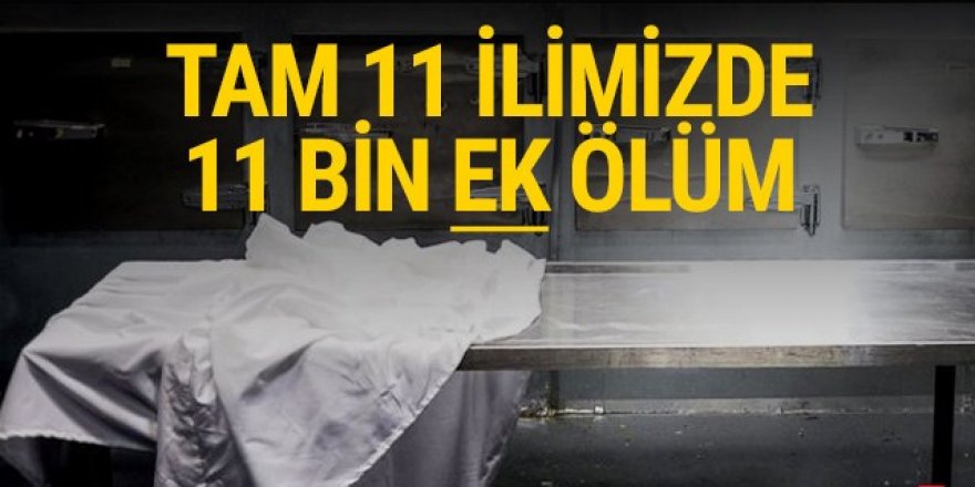 Türkiye'de 11 ilde 11 bin ek ölüm