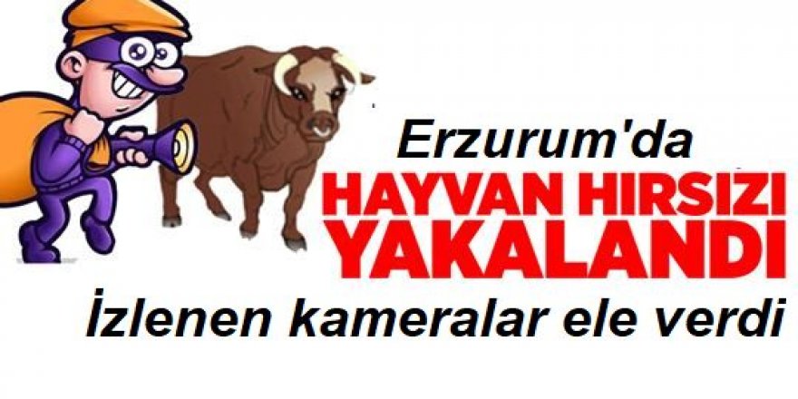 Erzurum'da hayvan hırsızı kameraya yakalandı