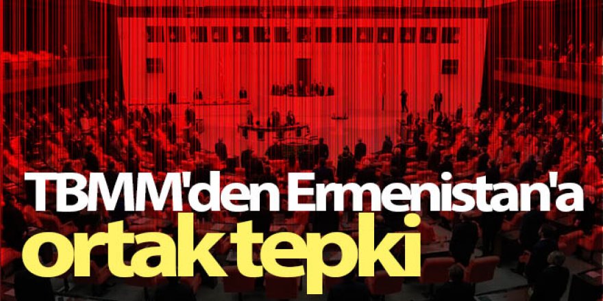 TBMM'den Ermenistan'a ortak tepki