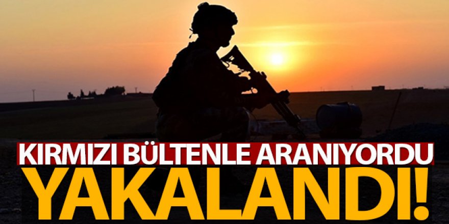 Kırmızı bültenle aranan El Kaide bağlantılı terörist yakalandı