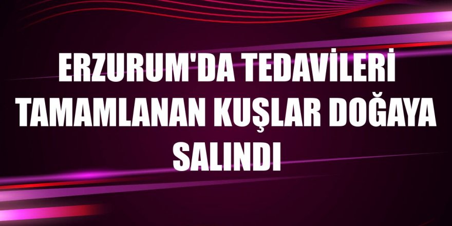 Erzurum'da tedavileri tamamlanan kuşlar doğaya salındı