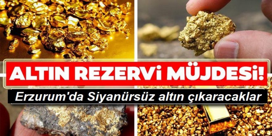 Erzurum'da Siyanürsüz altın çıkaracaklar