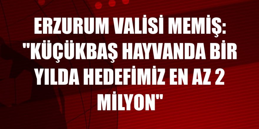 Erzurum Valisi Memiş: "Küçükbaş hayvanda bir yılda hedefimiz en az 2 milyon"