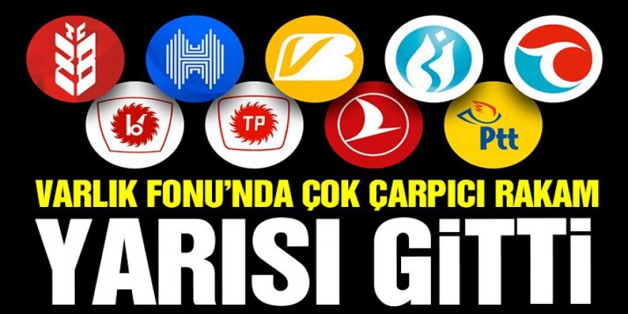 Varlık Fonu’nun kârı 2019’da yüzde 48,3 düştü