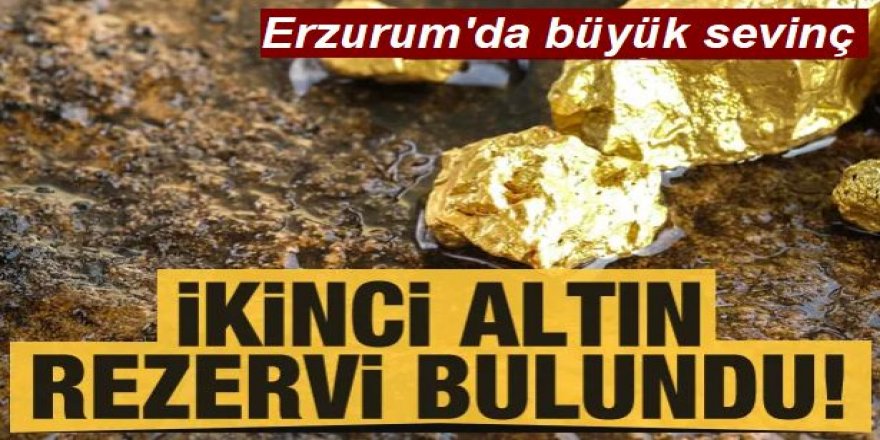Erzurum'da ikinci Altın rezervi bulundu