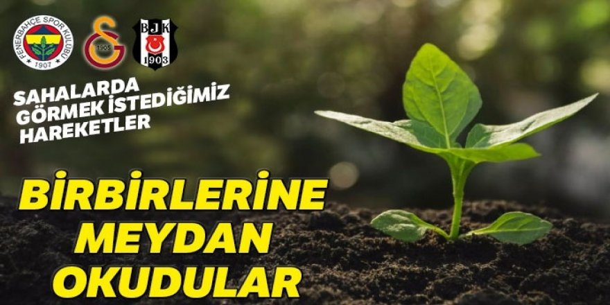 Üç büyüklerin Hatay için fidan dikme yarışı