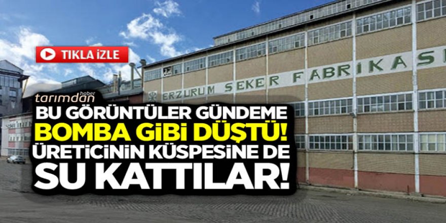 Erzurum'da Üreticinin küspesine su kattılar! Özelleştirilen şeker fabrikasından şok görüntüler!