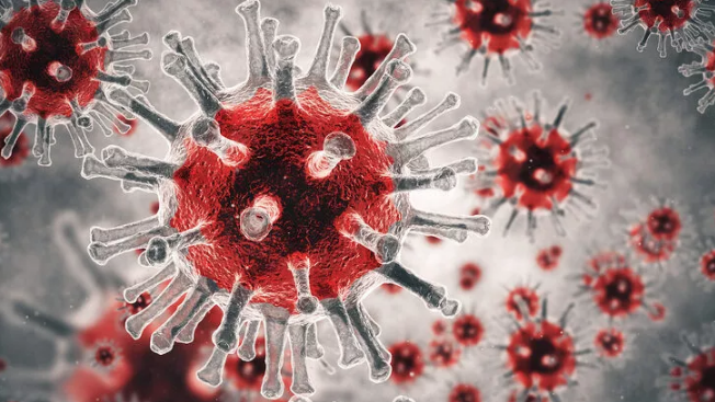 Bilim insanları uyardı! Koronavirüs benzeri yeni virüs: SADS-CoV
