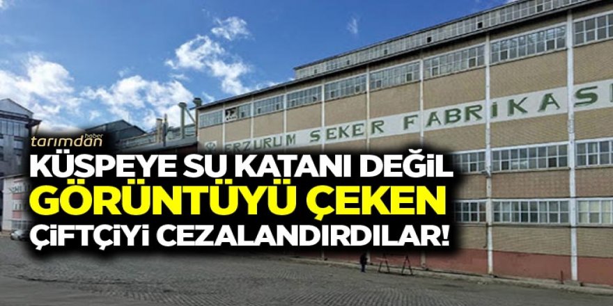 Küspeye su katanı değil görüntüyü çeken çiftçiyi cezalandırdılar!